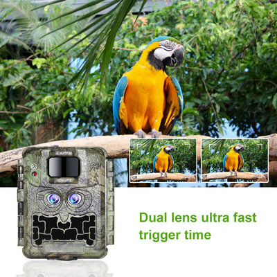 DC12V Dual Lens 1080P Wildlife Trail Camera 13MP CMOS Bez Glow Cam