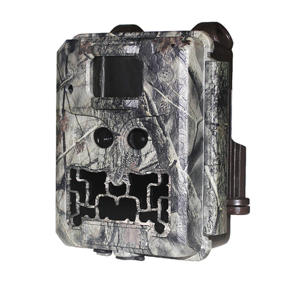 DC12V Dual Lens 1080P Wildlife Trail Camera 13MP CMOS Bez Glow Cam