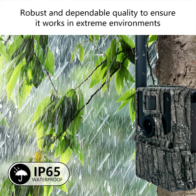 Keepguard 4G komórkowe kamery ścieżki leśnej z APP zdalnym sterowaniem 36MP 2K/30fps