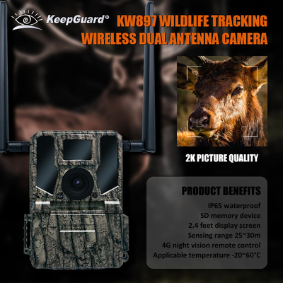 KW897 WILDLIFE CAMERA TRAIL WIRELESS DUAL-ANTENNAS HUNTING 4G NIGHT VISION DALNE KONTROL WATERPROOF 2K VIDEO SD MEMORY