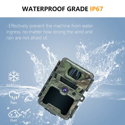 KW571 Fabryka OEM ODM Mini Wildlife Scouting Timelapse Trail Camera IP67 Sensor CMOS i pamięć SD