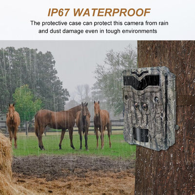 Zrób zdjęcia i filmy w rozdzielczości 1080p z tą profesjonalną kamerą polową