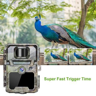 KW571 Fabryka OEM ODM Mini Wildlife Scouting Timelapse Trail Camera IP67 Sensor CMOS i pamięć SD