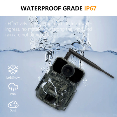 32MP 4G Trail Camera z szybkim 0.2s Trigger Time i Photo/Video/Photo Video Mode dla wszechstronnych