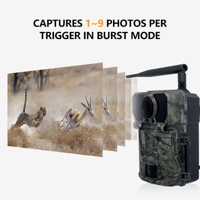 32MP 4G Trail Camera z szybkim 0.2s Trigger Time i Photo/Video/Photo Video Mode dla wszechstronnych