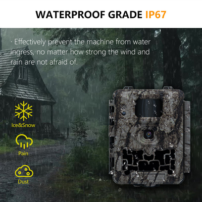 KW561 Trail Infra Cam Mini 30MP 0.25s Prędkość 4K Rozdzielczość wideo wodoodporny czujnik CMOS SD Me