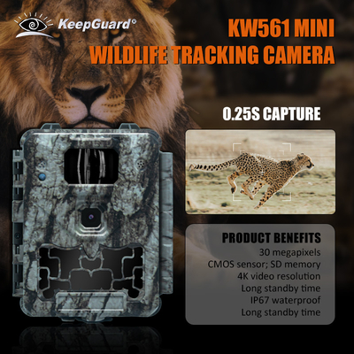 KW561 Trail Infra Cam Mini 30MP 0.25s Prędkość 4K Rozdzielczość wideo wodoodporny czujnik CMOS SD Me