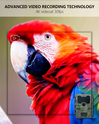 WIFI trail Camera KW866 wodoodporny IP67 OEM/ODM do 512GB Przechowywanie SD Karta pamięci 32MP 4K kamera zwierząt dzikich