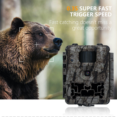 Kamera trail KW561 30MP 0,25s wyzwalacz Szybkość 4K Rozdzielczość wideo wodoodporna IP67 do 512GB pamięci masowej