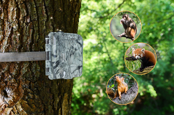 KG45 TRAMP ALARM TRAIL CAMERA dla miłośników polowań