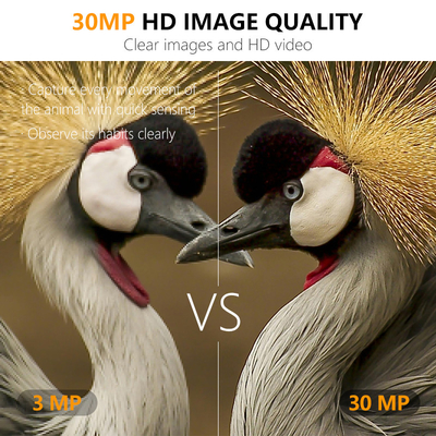 Kamera ścieżkowa ODM/OEM KW571 wodoodporna IP67 Bezświetlny czujnik CMOS 30MP zdjęcie 1080P 0.25s prędkość uruchomienia widzenie nocne