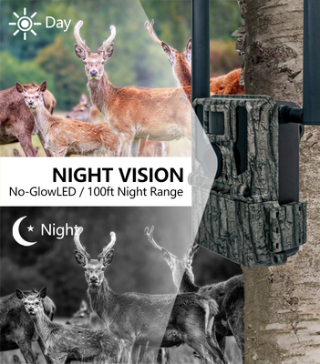 2024 Najnowsza High-End 4G bezprzewodowa kamera myśliwska KW897 z podwójnymi antenami 100ft Night Range 36MP 2K Video w 30fps dla dzikiej przyrody