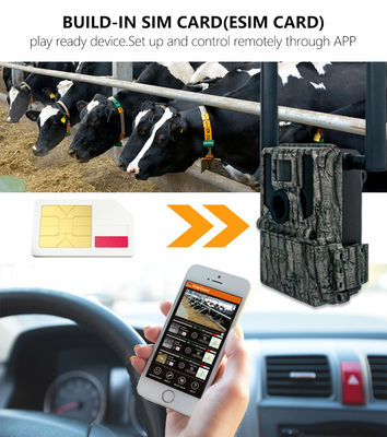 Kamery myśliwskie i ścieżkowe Panel słoneczny 4G Bezprzewodowa kamera KW897 z podwójnymi antenami 100ft Night Range 36MP 2K Video w 30fps