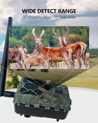 Najnowszy aparat testowy 4G KW886 z anteną 24MP 0.1s wbudowany w kartę SIM do polowania na jelenie