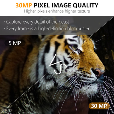 30MP bezbłyskowa kamera LED Trail dla gry łowieckiej z wizją nocną z wideo 1080P i pojemnością karty pamięci 512 GB