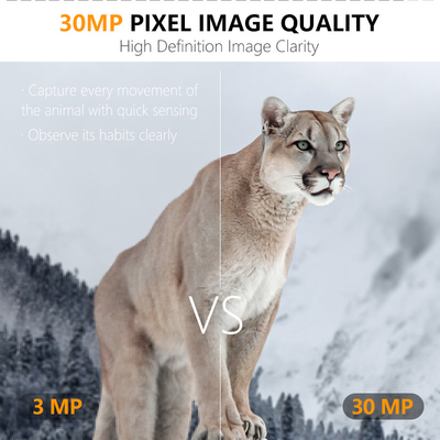 Kamera 4G KW895 z APP 2K FHD Video 30MP obraz wodoodporny IP67 do 512GB pamięci masowej do badań nad dziką przyrodą