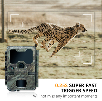 Kamera Night Vision Hunting z niewielkim rozmiarem KW788 0.1s wyzwala 32MP ostry obraz 4K video wodoodporne IP67 do polowania