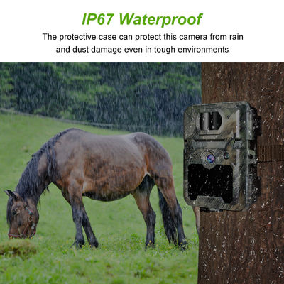 Konfigurowalne kamery myśliwskie HD do obserwacji dzikiej przyrody z obsługą kart pamięci 512GB