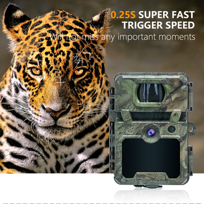 Kamera myśliwska KW571 z wodoodpornością 30MP 1080P IP67 0.25s uruchamia do 512GB pamięci masowej do polowania na dzikie zwierzęta