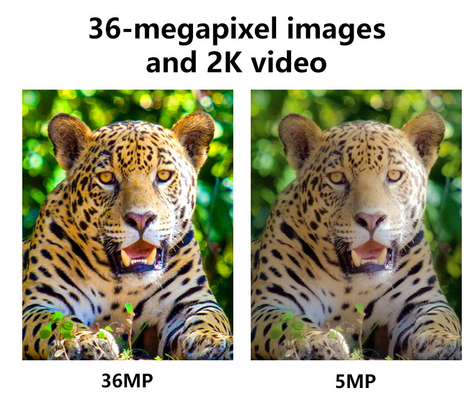 4G komórkowa bezprzewodowa kamera myśliwska KW897 wbudowana w kartę SIM 36MP nagrywanie wideo 2K z 30fps z podwójnymi antenami dla dzikiej przyrody