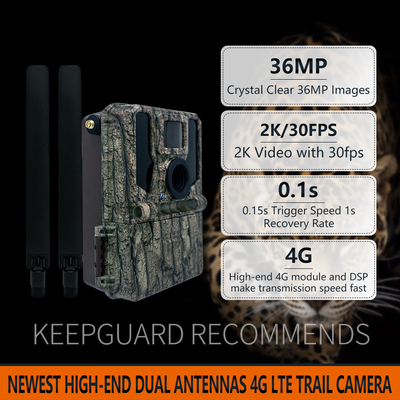 4G komórkowa bezprzewodowa kamera myśliwska KW897 wbudowana w kartę SIM 36MP nagrywanie wideo 2K z 30fps z podwójnymi antenami dla dzikiej przyrody