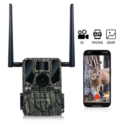 4G komórkowa bezprzewodowa kamera myśliwska KW897 wbudowana w kartę SIM 36MP nagrywanie wideo 2K z 30fps z podwójnymi antenami dla dzikiej przyrody