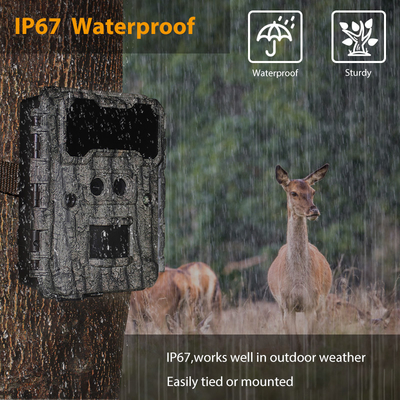 Dwuobiektywna kamera myśliwska KW696 OEM/ODM 0.4s prędkość odpowiedzi 1080P/30MP wodoodporny IP67 100ft nocny zasięg dla polowania na dziką przyrodę