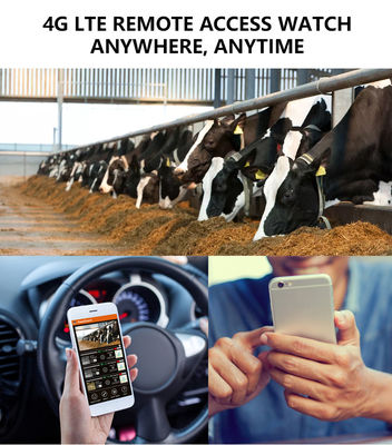 Doświadcz niezrównanej wydajności z kamerą 4G Trail