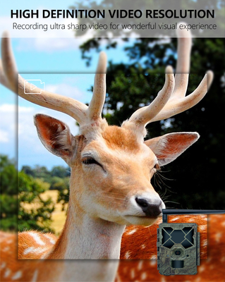 Game&trail Camera 4G KW886 z anteną Kosztowo efektywna kamera myśliwska 24MP 1080P Night Vision 0.1s Response Time Game Camera