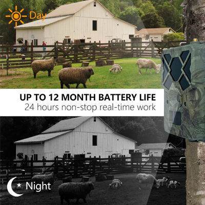 Doświadcz niezrównanej wydajności z kamerą 4G Trail