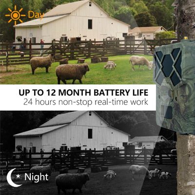 Game&trail Camera 4G KW886 z anteną Kosztowo efektywna kamera myśliwska 24MP 1080P Night Vision 0.1s Response Time Game Camera