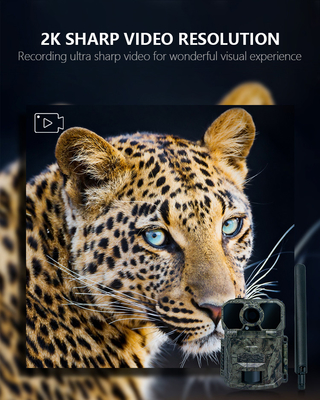 4G komórkowy Trail Camera szybki wyzwalacz 1-9 uchwycił 32MP APP sterowanie paneli słonecznych akcesoria polowania