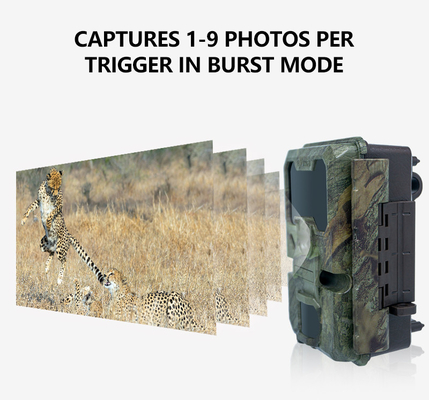 WIFI trail Camera KW866 wodoodporny IP67 OEM/ODM do 512GB Przechowywanie SD Karta pamięci 32MP 4K kamera zwierząt dzikich