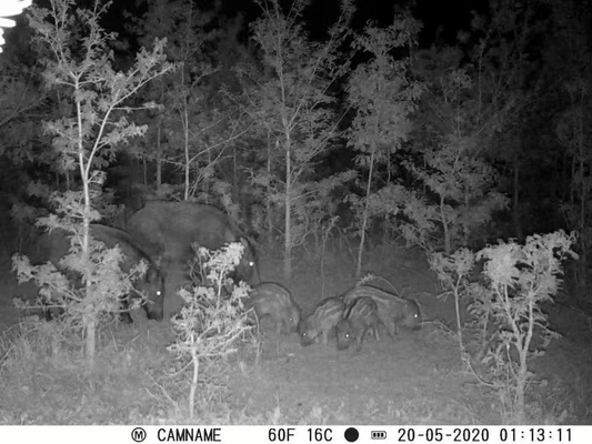 Kamera do gier KW571 z wodoodpornością IP67 Sensor CMOS bez blasku 30MP zdjęcie 1080P 0.25s prędkość wyzwalająca widzenie nocne