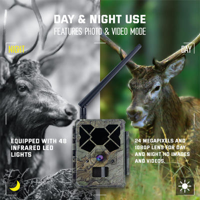 Zdalnie sterowana kamera myśliwska 4G KW886 z możliwością nagrywania wideo 1080p i zasięgiem nocnym 120 stóp