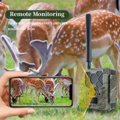 Zdalnie sterowana kamera myśliwska 4G KW886 z możliwością nagrywania wideo 1080p i zasięgiem nocnym 120 stóp