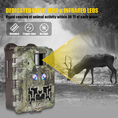 Programowalny wyświetlacz LCD 940nm LEDS na podczerwień Wildlife Camera