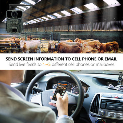 Bez blasku 0,26 s 4G Kamera obserwacyjna Wodoodporna Ip65 4g 0,25 s GSM MMS