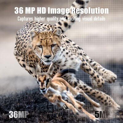 Kamera leśna 4G z możliwością zdalnego podglądu i wytrzymałą obudową, zaprojektowana do robienia szczegółowych zdjęć w odległych lokalizacjach