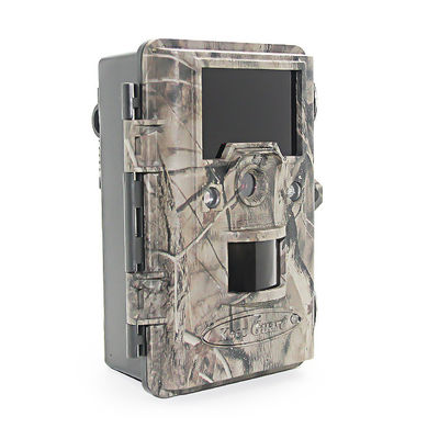 Podczerwień Animal 1280 × 720 25m Night Vision Trail Camera
