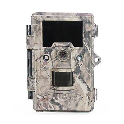Podczerwień Animal 1280 × 720 25m Night Vision Trail Camera