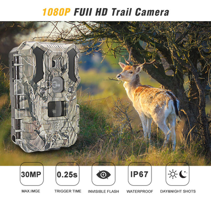 Diody LED na podczerwień Kamera myśliwska 30MP 1080P IP66