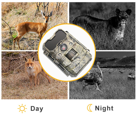 Kamuflaż IP67 Bez blasku Podczerwień Szybki wyzwalacz Polowanie na jelenie Trail Camera