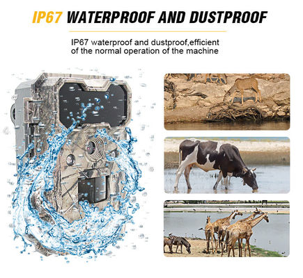 Kamera aktywowana przez ruch