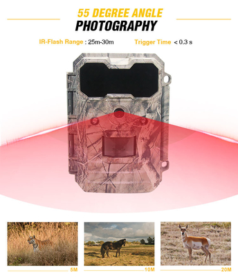 Kamera obserwacyjna Bezpieczeństwo Nadzór Thermal Night Vision IP65 Niska cena Dobra jakość