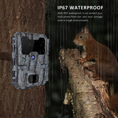 Diody LED 940nm Wifi Trail Camera APP Pilot Brak blasku niewidoczny
