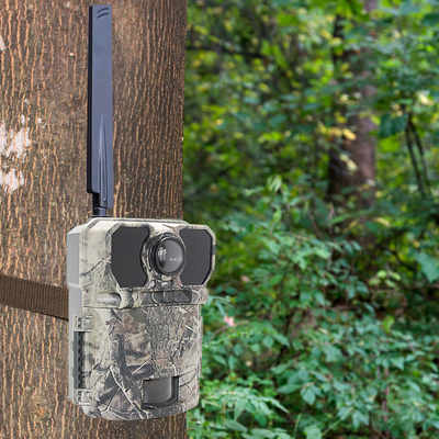 30MP APP NO GLOW CELLULAR GPS TRAIL CAMERA KOLOROWY CAMO
