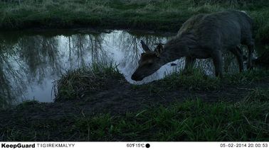 Mała kamera na podczerwień na podczerwień w dzień i w nocy Kamery do gier Trail Game Aprobaty WEEE