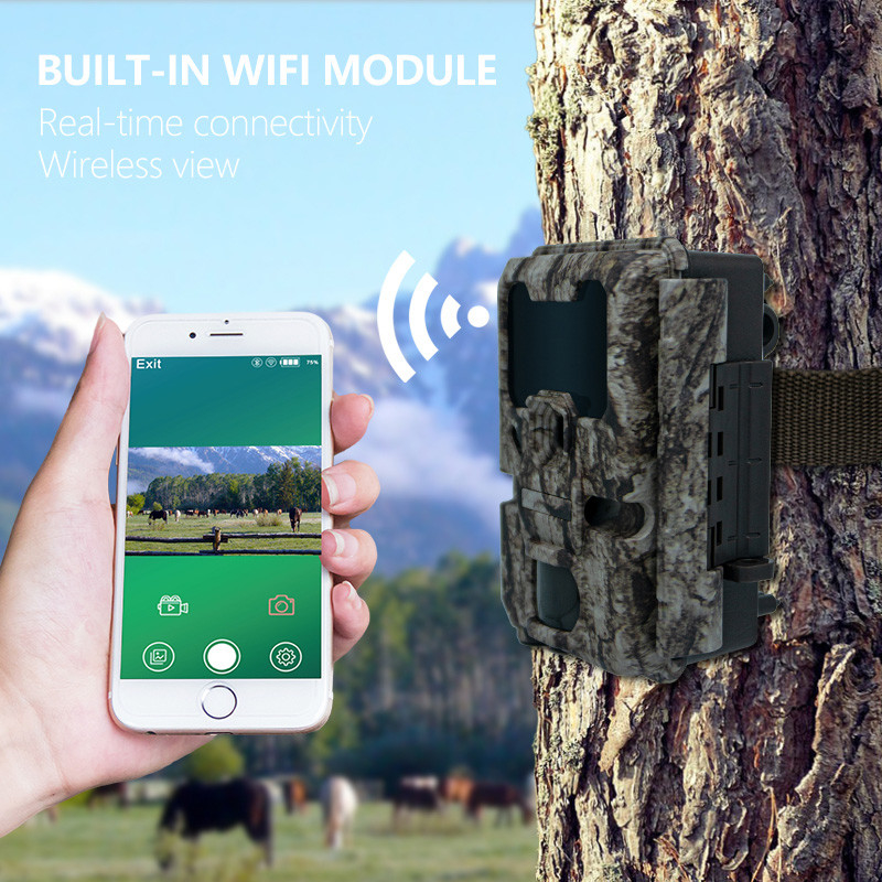 Kamera do polowań 20MP 1080P Kamera do ochrony dzikiej przyrody wodoodporna IP67 Kamera do gry i prób do 512GB Przechowywanie do 82 stóp