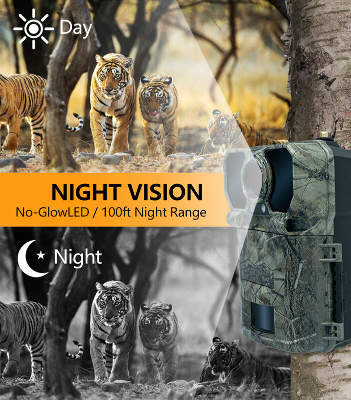 Bezprzewodowa kamera terenowa Night Image z konstrukcją CAMO i obsługą kart SD o pojemności do 64 GB, idealna do obserwacji dzikiej przyrody